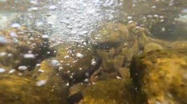 Suyun altındaki dağ nehri.