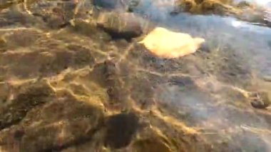 Sonbaharda dağ nehri manzarası
