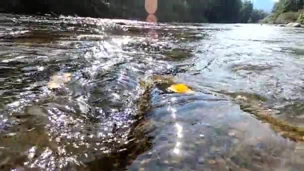 Berg Flod Landskap Höst — Stockvideo