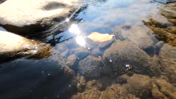 Berg Flod Landskap Höst — Stockvideo