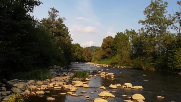 Górski Krajobraz Rzeki Jesienią — Wideo stockowe