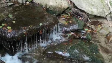 Dağlık bir ormanda fırtınalı bir dere