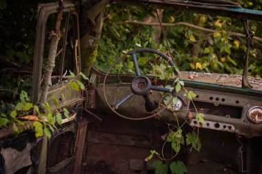 Çalılıklarda terk edilmiş paslı bir cip.