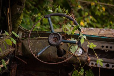 Çalılıklarda terk edilmiş paslı bir cip.
