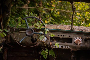 Çalılıklarda terk edilmiş paslı bir cip.