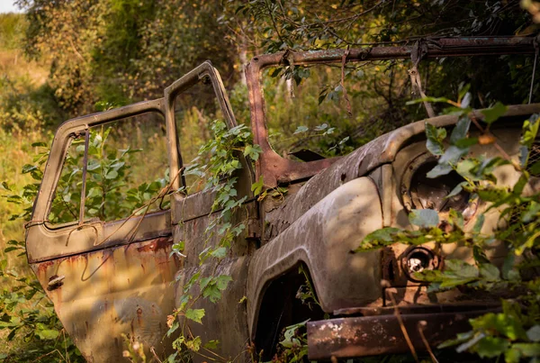 Suv Enferrujado Abandonado Matagal — Fotografia de Stock