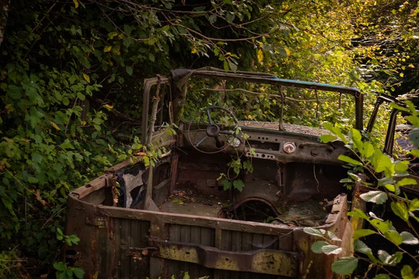 Çalılıklarda terk edilmiş paslı bir cip.