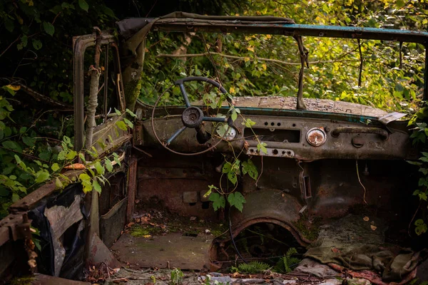 Vus Rouillé Abandonné Dans Fourré — Photo