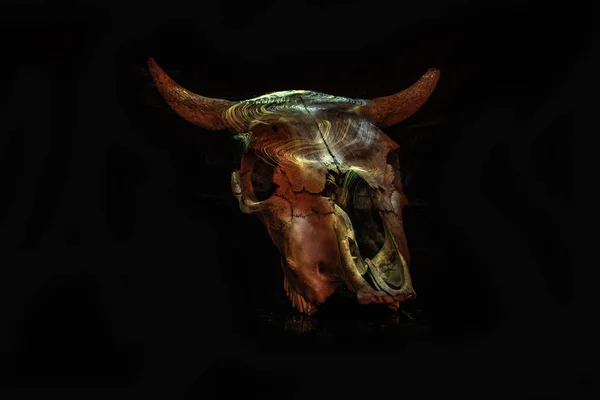 Череп Корови Атмосферою Хеллоуїна — стокове фото
