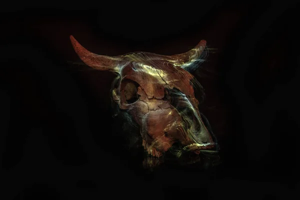Crânio Vaca Com Uma Atmosfera Halloween — Fotografia de Stock