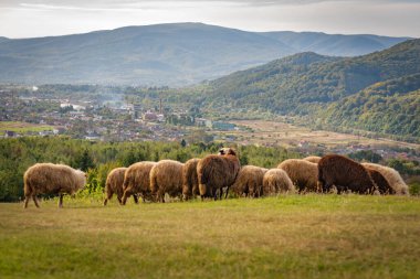 Farklı dünyalar başlıklı manzara 