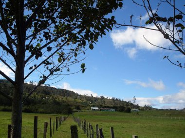 Field, Pomacochas, Bongara, Amazonas, Peru, Güney Amerika. 