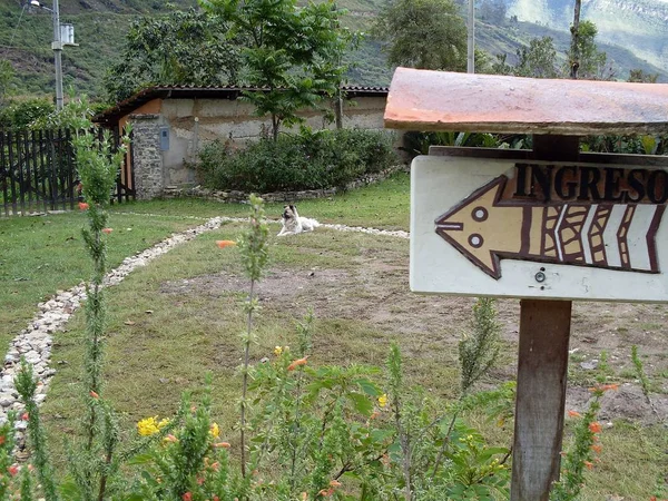 Entrée Musée Leymebamba Panneau Avec Motif Indigène Clôture Bois — Photo