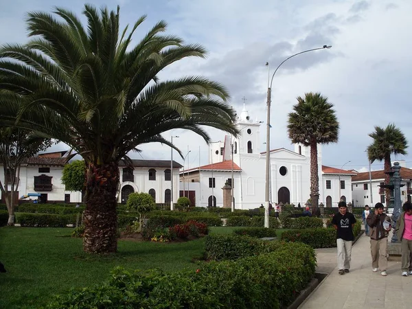 Jardins Palmeiras Catedral Praça Principal Cidade Chachapoyas Dia Nublado — Fotografia de Stock