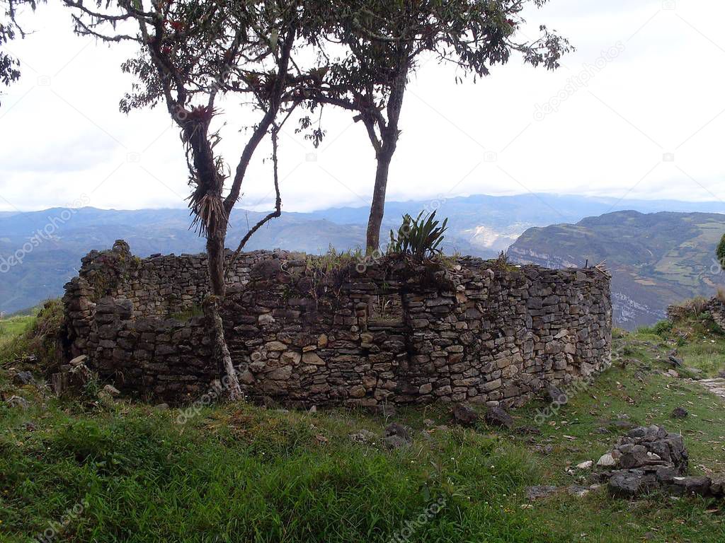 Circular house on the third level of the fortress of Kuelap before the storm and trees with bromeliads with extraordinary views of the Andean mountains in the background on a cloudy day