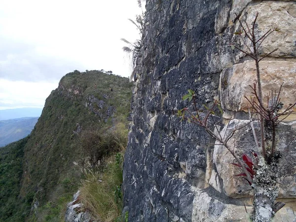 Каменная Стена Крепости Куэлап Скала Листовая Растительность — стоковое фото