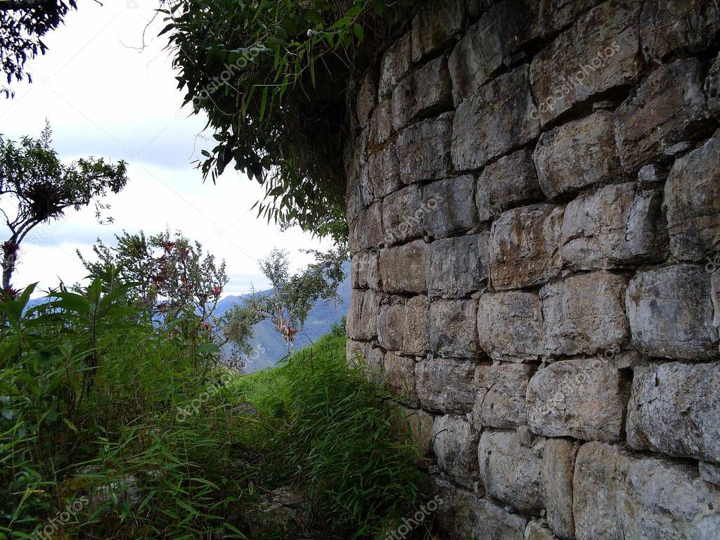 Stone wall of the fortress of Kuelap and lush vegetation