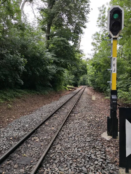 Järnvägsspår Skogen Med Signal — Stockfoto