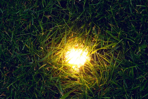 Lanterne Dans Herbe Éclairage Pelouse Jardin — Photo
