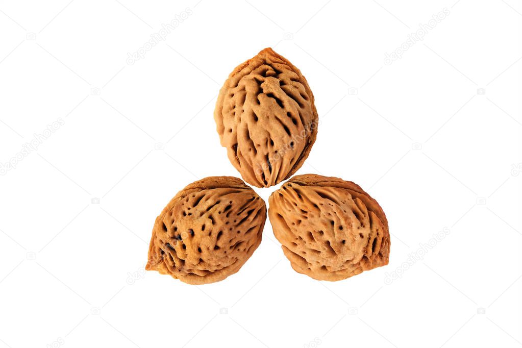 Peach seeds isolated on white background. mitsubishi logo creative concept