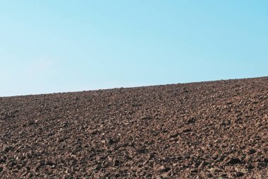 Tarla sürülmüş, ekilmiş mısır gevreği. Tarım ilkbaharda tarlayı sürdü. Siyah toprak sürülmüş tarla. Mavi gökyüzü ile sürülmüş alan