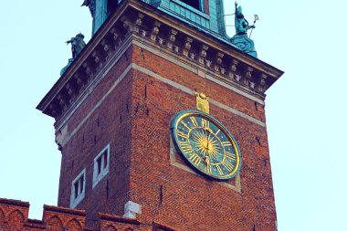 Gardens ve cathedra ile bir Wawel kale manzarası. Polonya Krakow tarihi şehir. saat kulesi