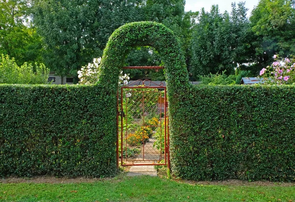 green fence with arch gate near the house