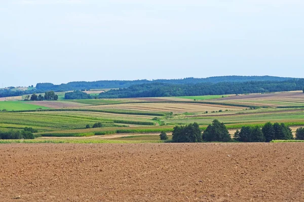 Seminativi Seminativi Cereali Agricoltura Arato Campo Nella Giornata Primaverile Terreno — Foto Stock