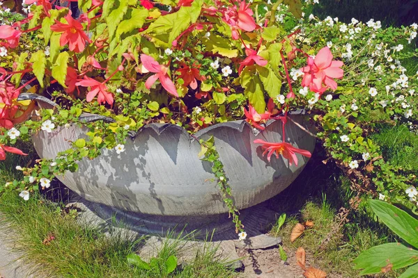 Diy的想法 回收轮胎用于鲜花或植物在旧橡胶漆柔和的颜色在花园家庭 — 图库照片