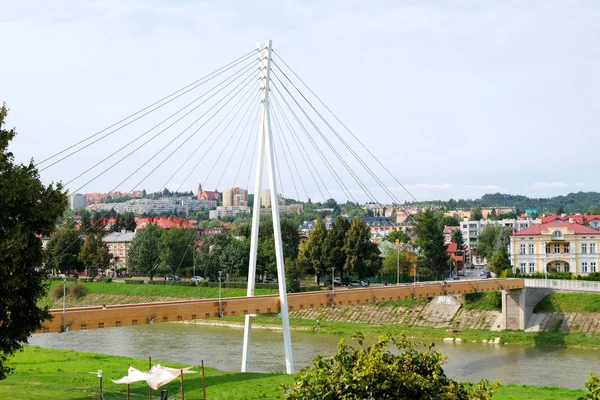 Przemysl Polonya Şehrinde Yaya Bisiklet Köprüsü - Stok İmaj