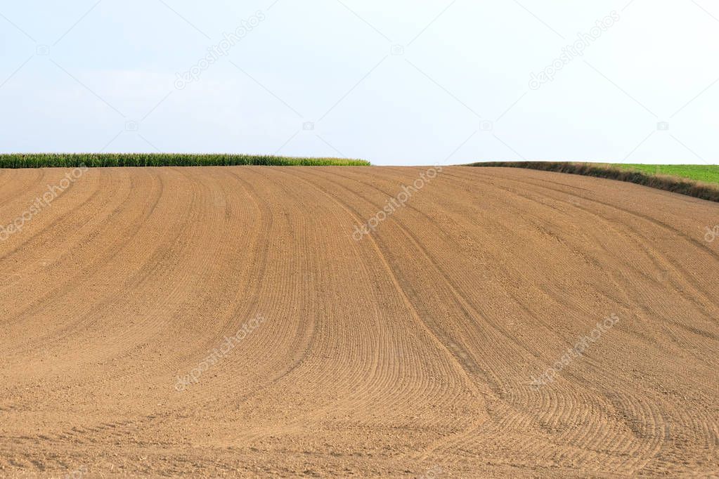 Field plowed, sown cereals. Agriculture plowed field in spring day. Black soil plowed field. Plowed field with blue sky