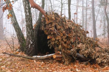 Ağaç kulübesi, çalı çırpı kulübesi ya da kırsal alandaki çalı çırpı kulübesi. Ağaçlardan, sopalardan ve yapraklardan yapılmış.
