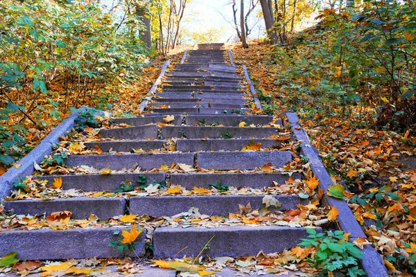 Foto Viejo Jardín Otoño Abandonado Escalera Éxito Onírica Que Conduce —  Fotos de Stock