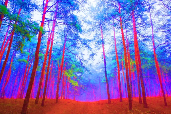 Δάσος Ψυχεδελικό Οξύ Νέον Απεικόνιση — Φωτογραφία Αρχείου