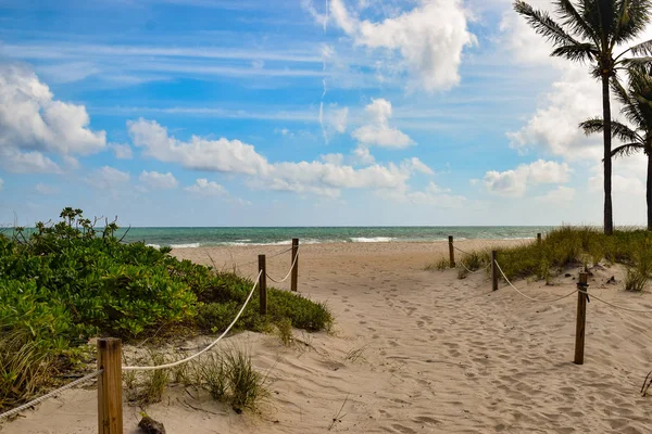 Paseo Playa Key Biscayne Florida — Foto de Stock