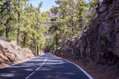 Yanardağ Teide tarafından Tenerife Dağları yol