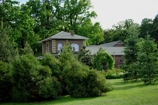 Yeşil ağaçların arasında kır evi