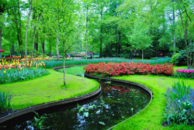 Hollanda çiçek parkında küçük bir nehir görünümü