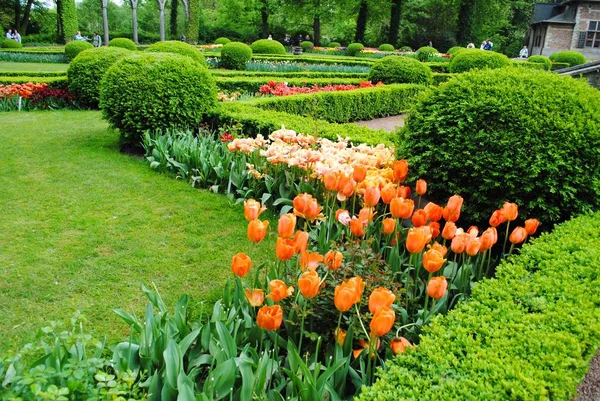 Glade Aux Tulipes Orange Dans Parc Aux Fleurs Des Pays — Photo