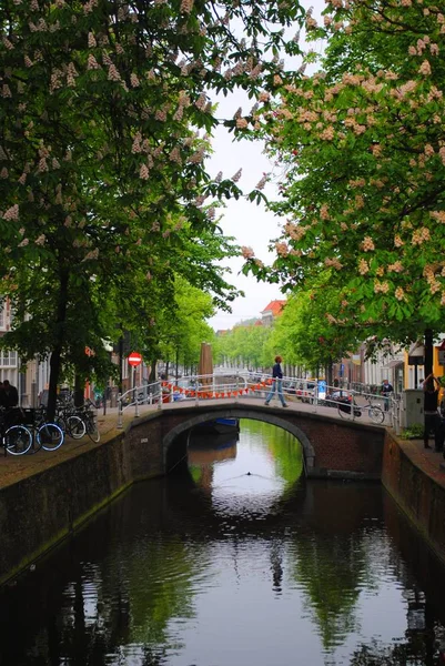 Pohled Kanál Most Delft Nizozemsko — Stock fotografie