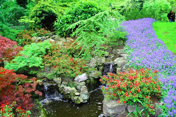 Vue Étang Entouré Verdure Fleurs — Photo