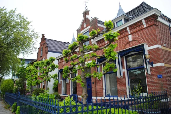 Construção Tijolos Com Guarnição Azul Delft Países Baixos Imagem De Stock
