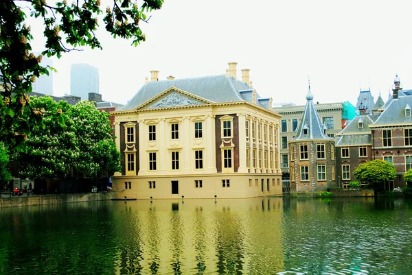 Domy Haagu Nizozemsko Které Promítají Rybníka — Stock fotografie