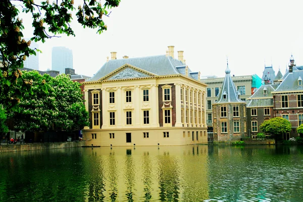 Lahey 'de evler (Hollanda), gölet yansıyan