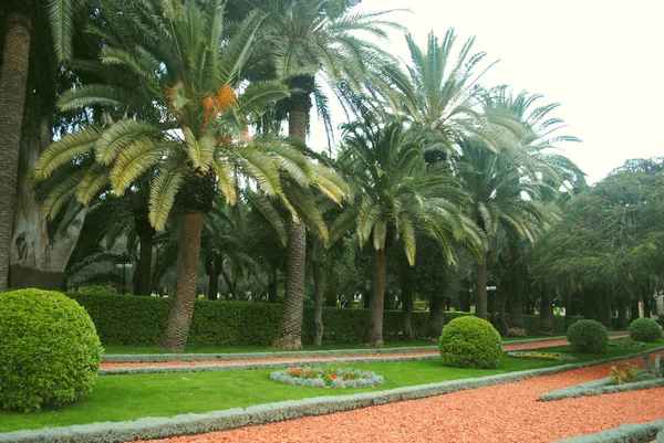 Park Alley Bahai Gardens Haifa Israele — Foto Stock