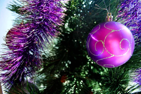 クリスマスツリーのおもちゃ 紫のボール クリスマスの装飾 — ストック写真