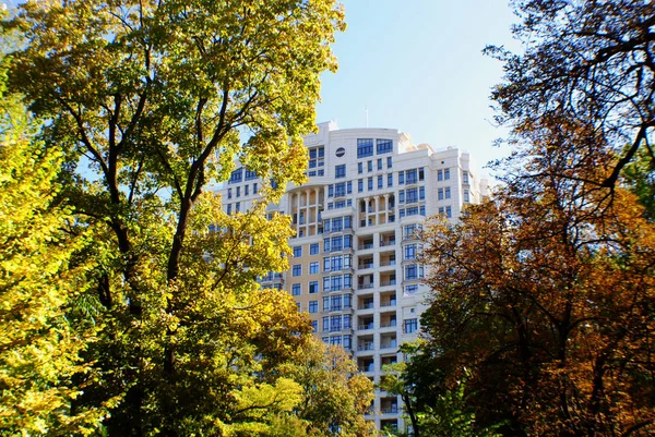 Sonbahar Metropolü Sonbahar Ağaçları Yüksek Binaların Manzarası — Stok fotoğraf