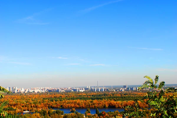 Uitzicht Herfstmetropool Herfstbomen Hoogbouw — Stockfoto