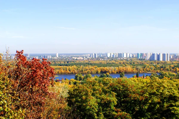 Vue Métropole Automne Des Arbres Automne Des Immeubles Grande Hauteur — Photo