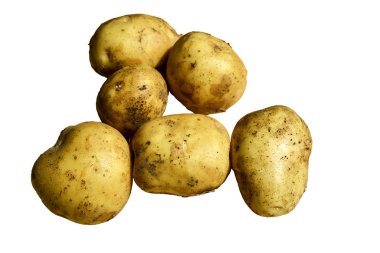 Yeni patates, yeni ürün, beyaz arka plan üzerinde izole
